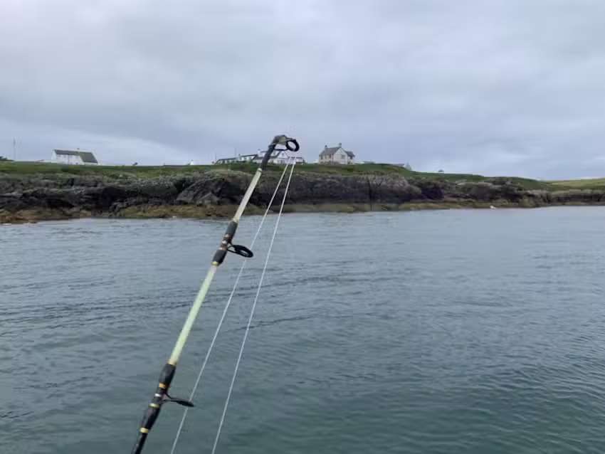 Stingray Angling Charter