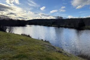 Stoneyfield Lochs Trout Fishery