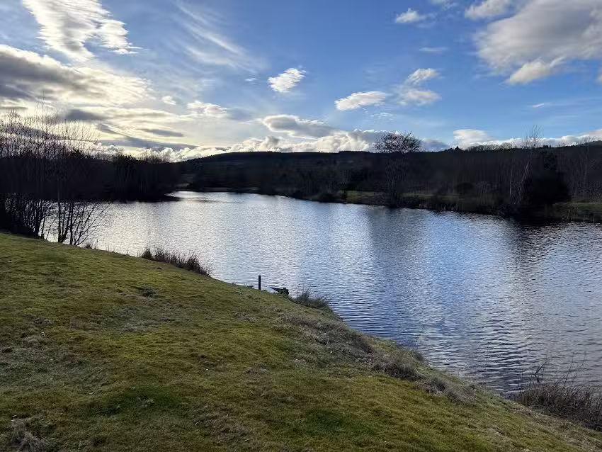 Stoneyfield Lochs Trout Fishery