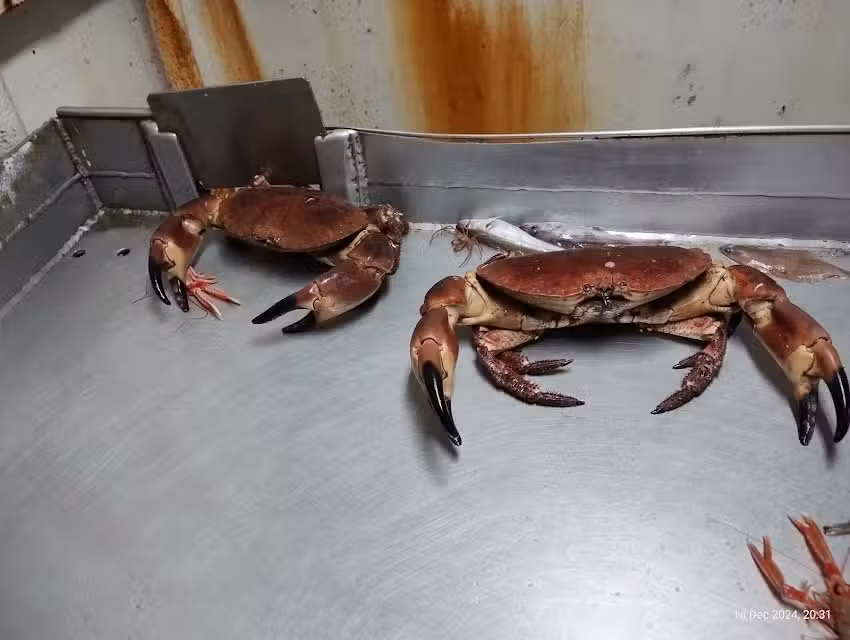 Stornoway Fishermans Co-op Ltd