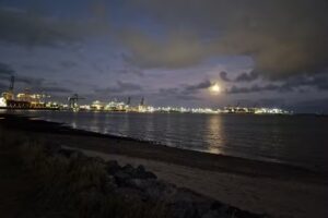 Suffolk Sports Fishing