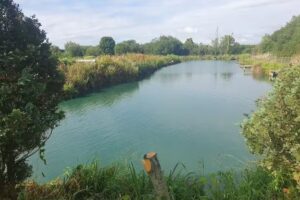 Summerhayes Fisheries