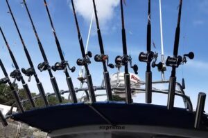 Supreme fishing trips Padstow