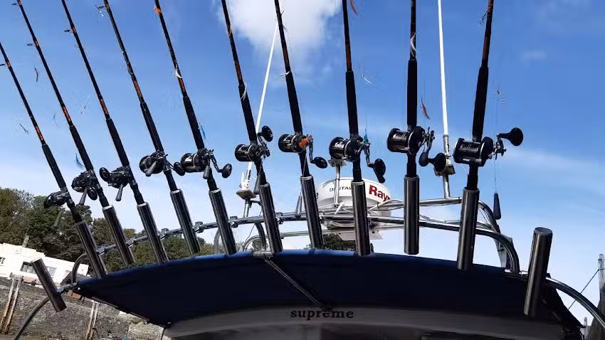 Supreme fishing trips Padstow