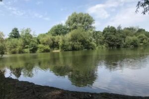 Surrenden Lakes &ndash; Ashford Angling Society