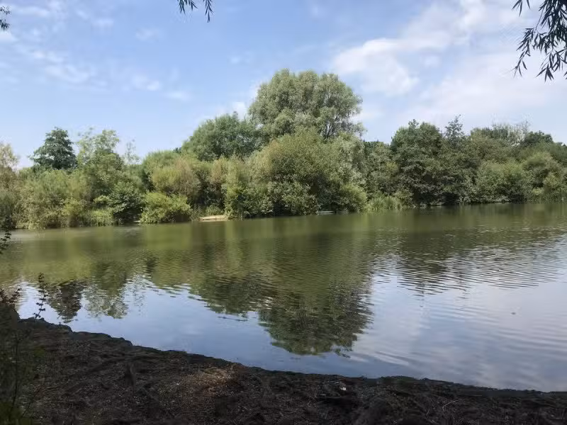 Surrenden Lakes &ndash; Ashford Angling Society