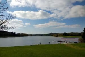 Sutton Bingham Fishing Lodge