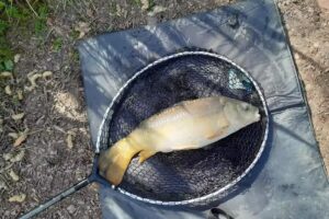 Swan pit fishing pool Private (WULAC)