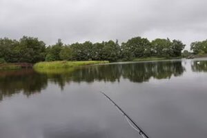 Swanswater Fishery