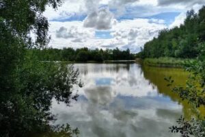 Swanton Morley Fishing Lakes