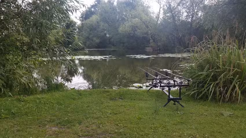 Tall Trees Carp Fishery