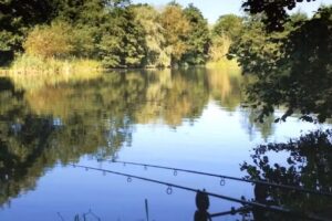 Taswood Lakes Fish Farm & Fishery