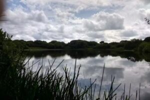 Temple Trout Fisheries