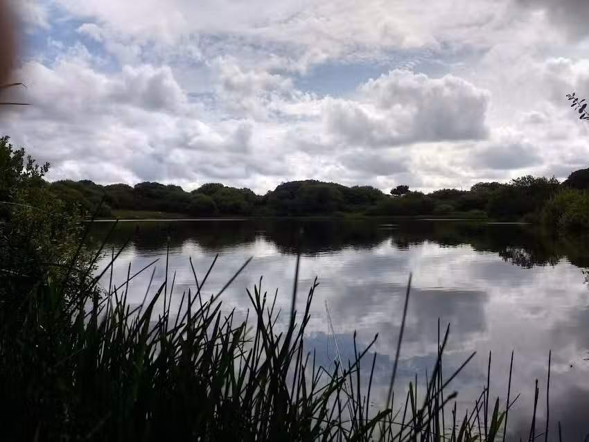 Temple Trout Fisheries