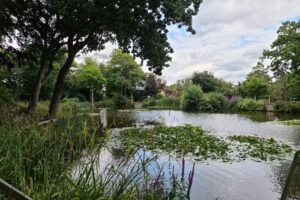 THE BARNES AND MORTLAKE ANGLING AND PRESERVATION SOCIETY
