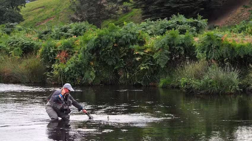 The Durham Fly Fishing Company
