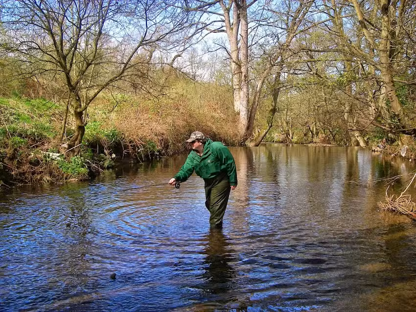 The Essential Fly (Mail Order)