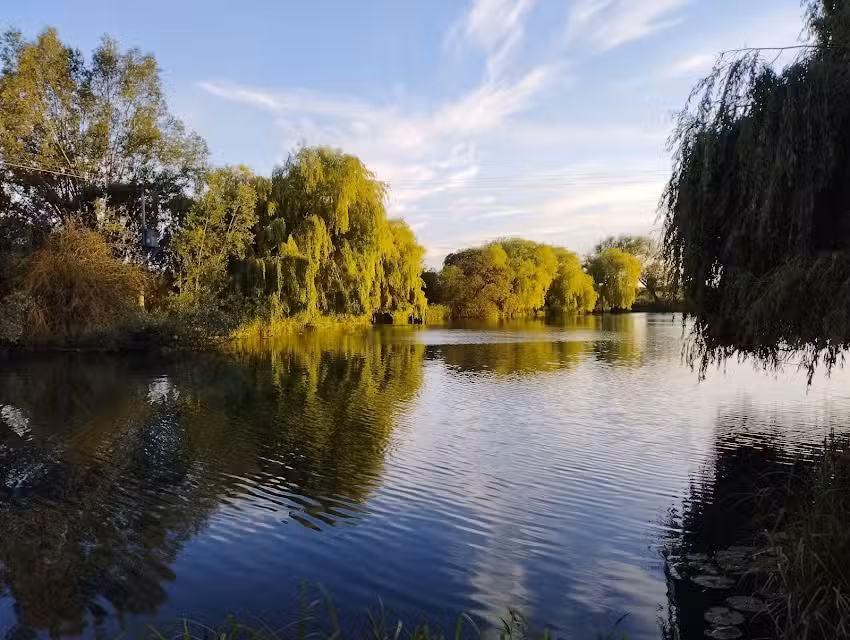 The Mill Carp Fishery