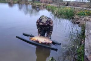 The New Celtic Lakes