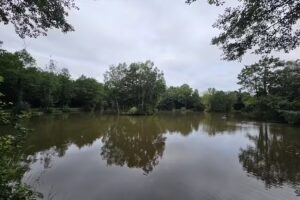 The Oaks Lakes Fishing Complex