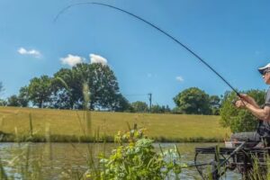 The Tackle Warehouse Ltd