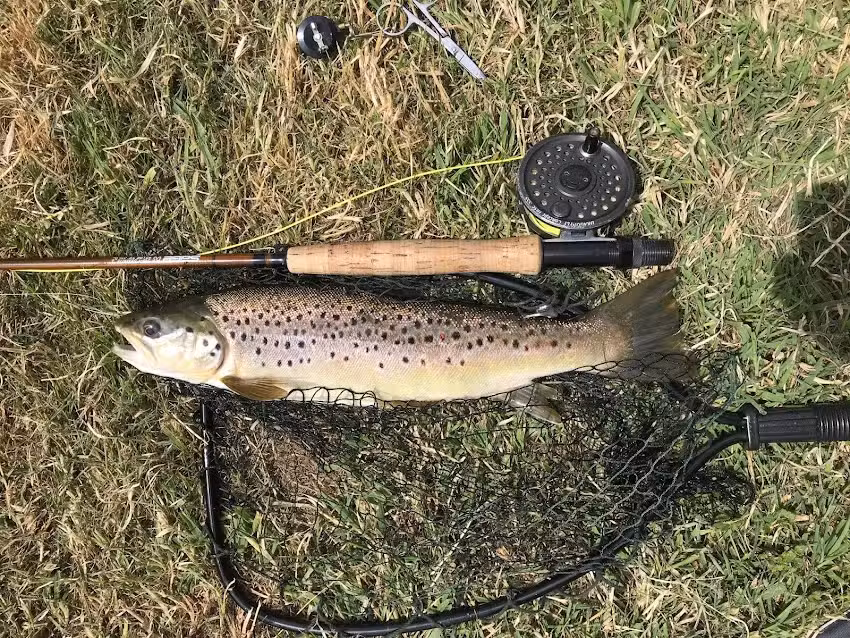 The Wrackleford Estate Fishery