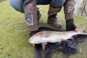 Thornwood Springs Trout Fishery