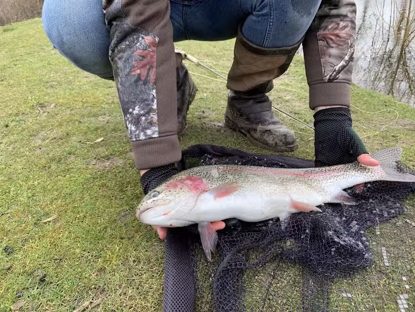 Thornwood Springs Trout Fishery
