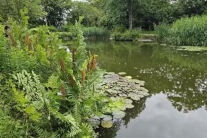 Threemilestone Angling Club