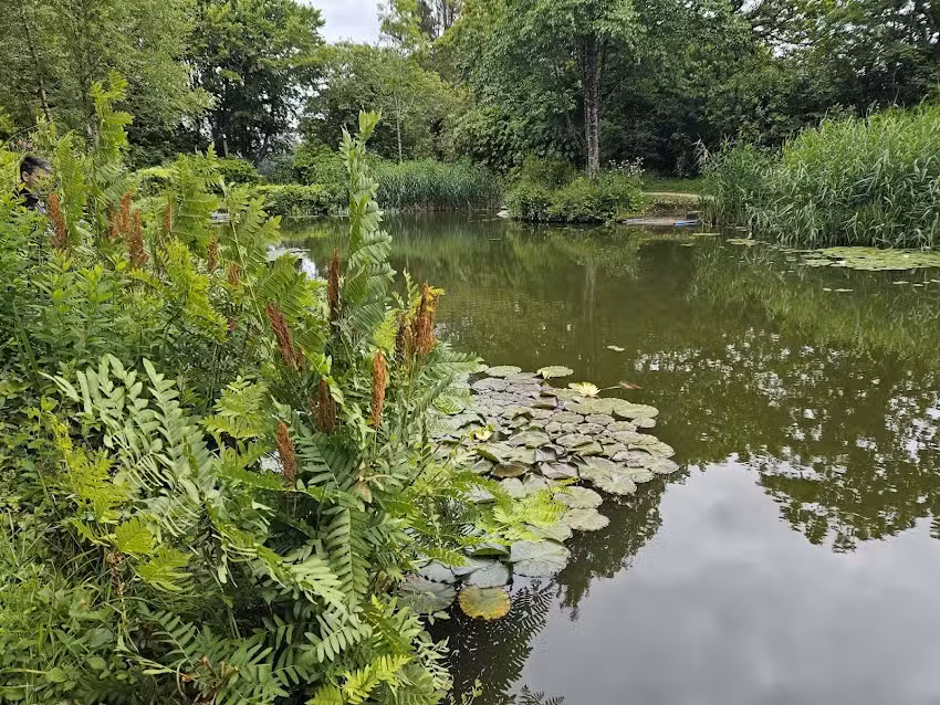 Threemilestone Angling Club