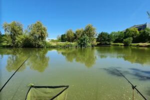 Timberland Fishery Limited