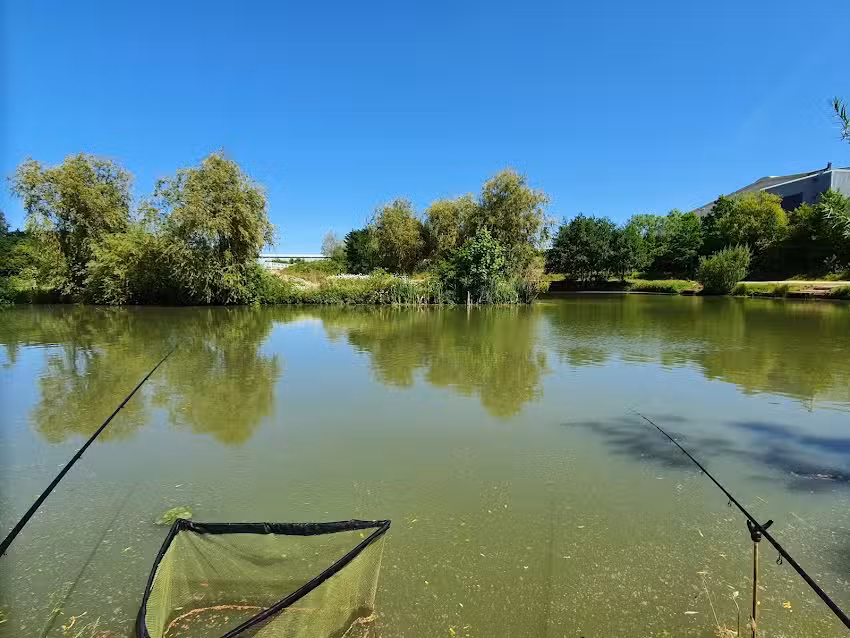 Timberland Fishery Limited