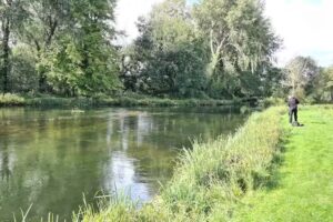 Timsbury Fishing