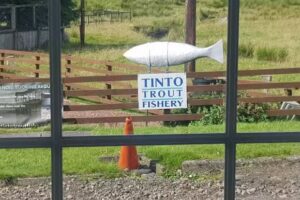 Tinto Trout Fishery