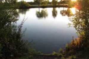 Top Barn Coarse Fishery and Specimen Carp Pool – We are open for individual day tickets.