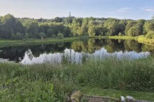 Torlundy Trout Fishery
