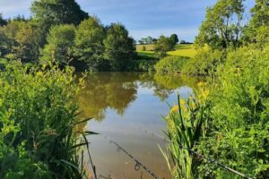 Trewandra Coarse Fishing Lake