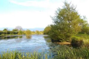Trimdon Fishing Lake