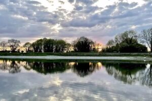 Tringford Trout Fishery