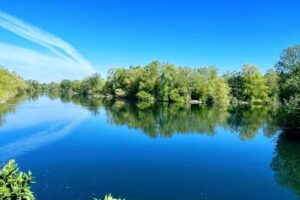 Tumbling Bay Fishing Ltd