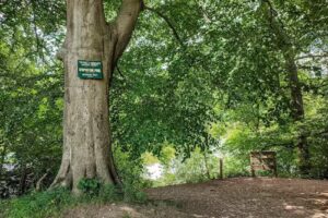 Victoria & Biddulph A.S