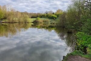 Warrens Hall Farm Pond