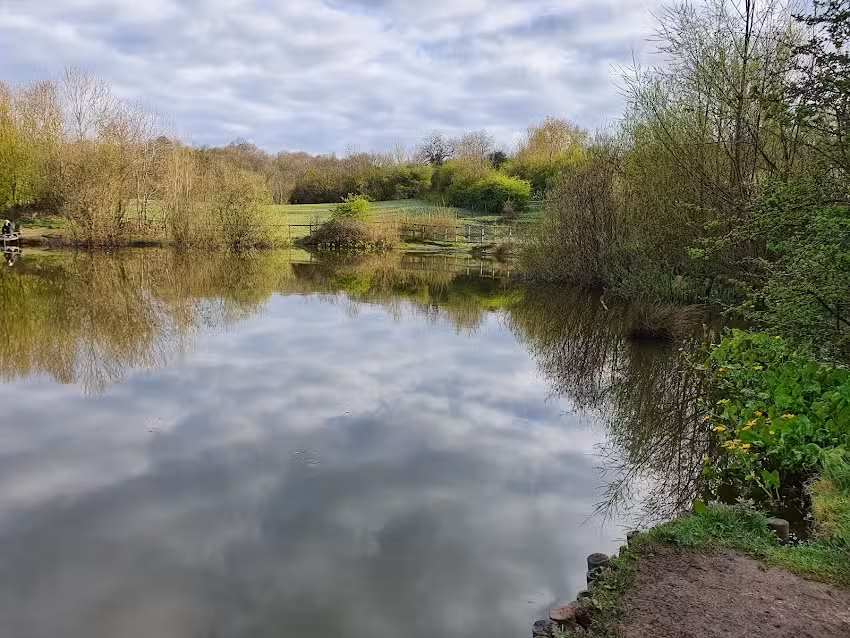 Warrens Hall Farm Pond