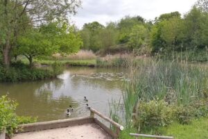 Wassell Grove Fisheries and Campsite