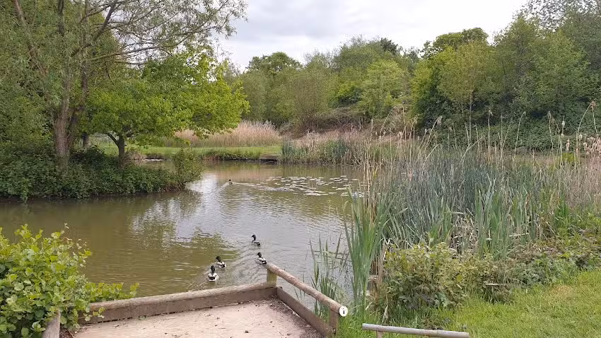 Wassell Grove Fisheries and Campsite