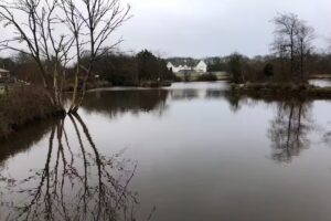 Waterside Cornwall Fishery