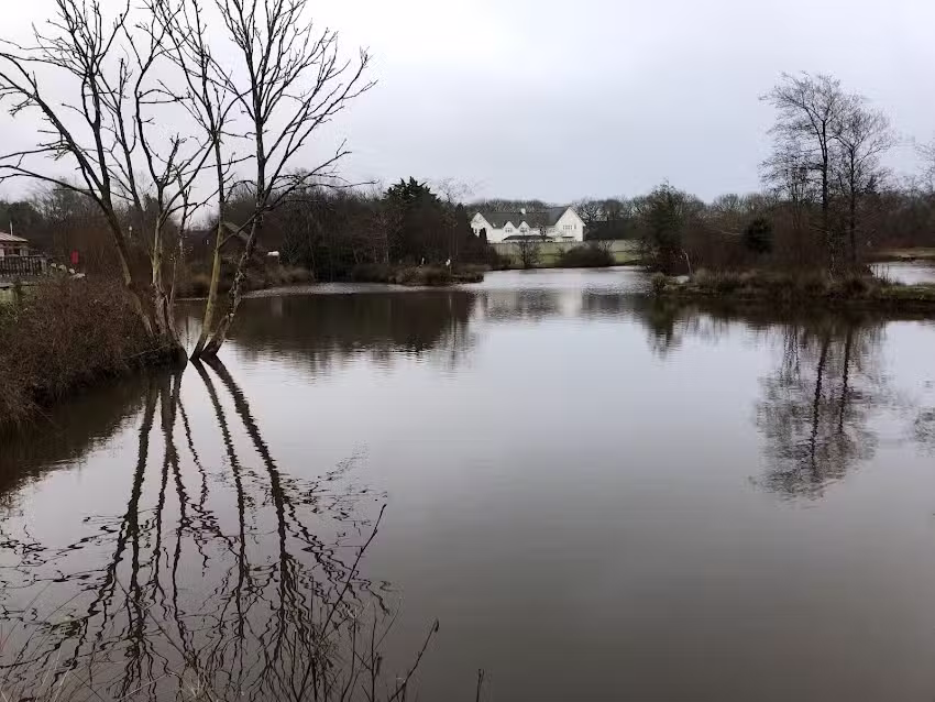 Waterside Cornwall Fishery