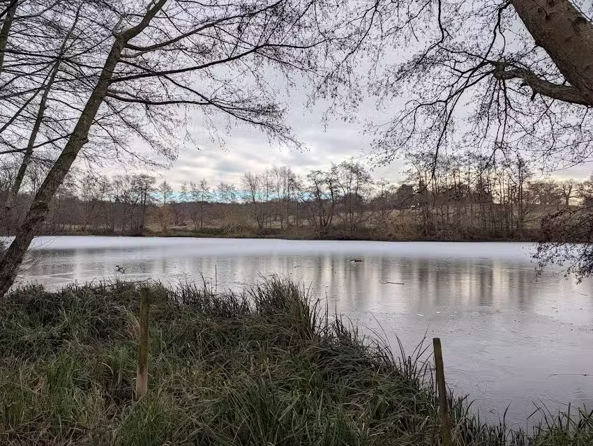 Weald Lakes