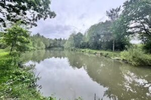 Wellfield Pools Fishery and Holidays