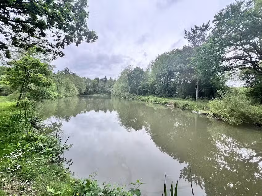 Wellfield Pools Fishery and Holidays